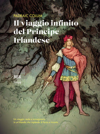 Viaggio infinito del principe irlandese 
