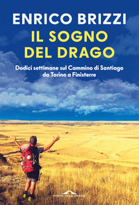Sogno del drago - dodici settimane sul cammino di santiago da torino a finisterre 