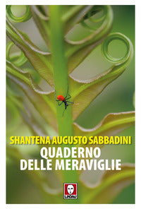 Quaderno delle meraviglie 