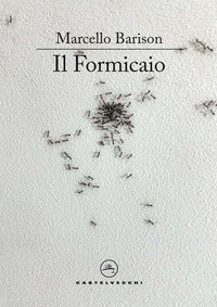 Formicaio 