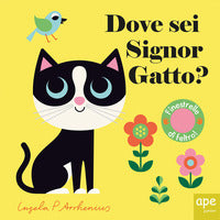 Dove sei signor gatto ? 