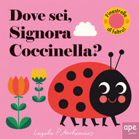 Dove sei signora coccinella ? 