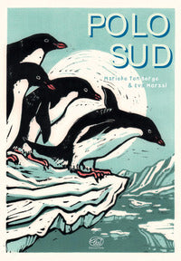 Polo sud 