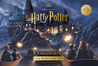 Harry potter - viaggio a hogwarts 