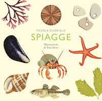Piccola guida alle spiagge 