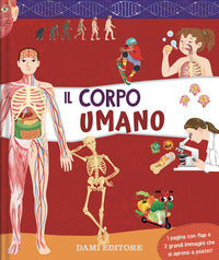 Corpo umano 
