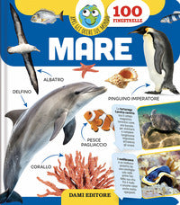 Mare - apri gli occhi sul mondo 