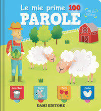 Mie prime 100 parole - tante belle finestrelle 