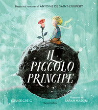 Piccolo principe - edizione illustrata 