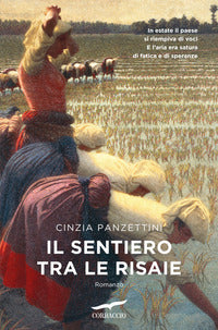 Sentiero tra le risaie 