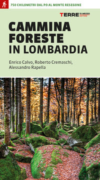 Camminaforeste in lombardia - 750 chilometri dal po al monte resegone 