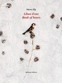 Libro d'ore 