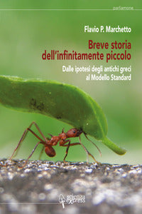 Breve storia dell'infinitamente piccolo 1 - dalle ipotesi degli antichi greci al modello 
