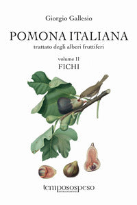 Pomona italiana 2 fichi - trattato degli alberi fruttiferi 