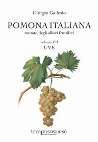 Pomona italiana 7 uve - trattato degli alberi fruttiferi 7 