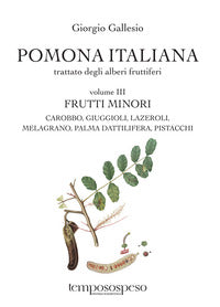 Pomona italiana 3 frutti minori - trattato degli alberi fruttifer 