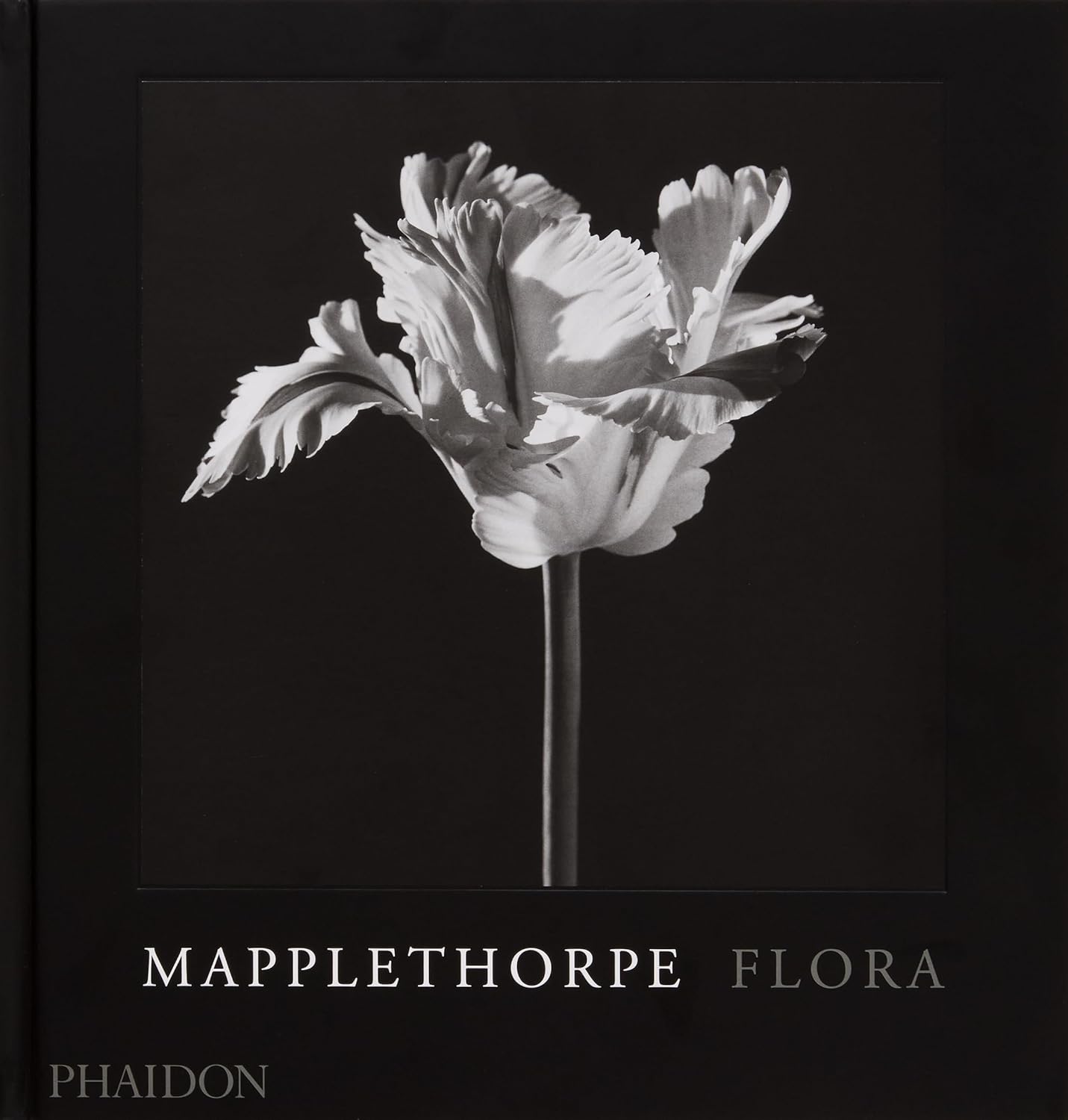 Robert mapplethorpe - flora 