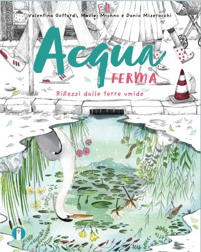 Acqua ferma - riflessi dalle terre umide 